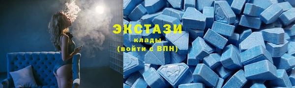 дмт Пересвет