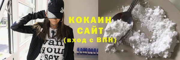 дмт Пересвет