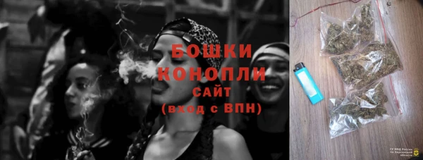PSILOCYBIN Осинники