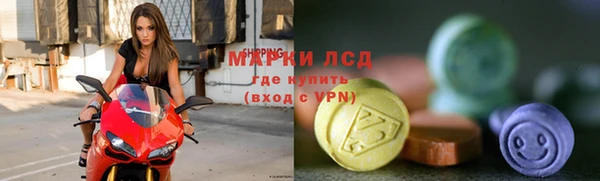 дмт Пересвет