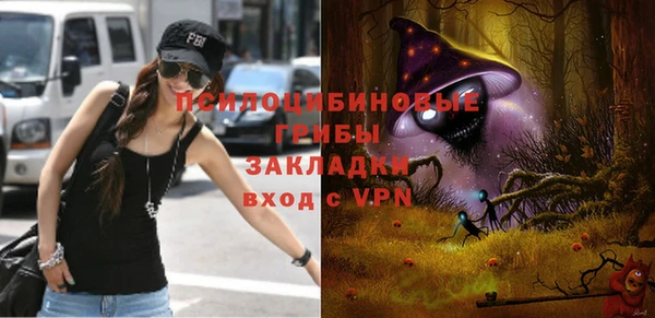 бошки Переславль-Залесский