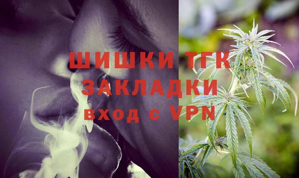 дмт Пересвет