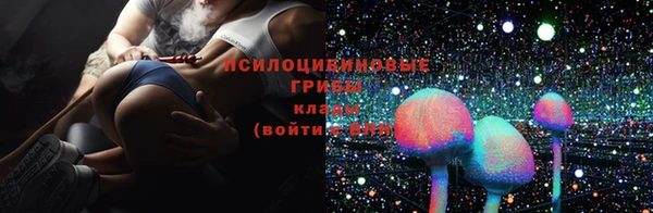 дмт Пересвет