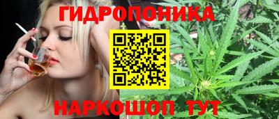 2c-b Гусев