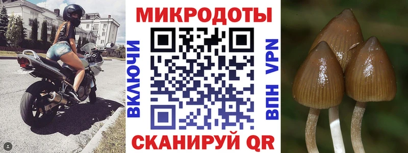Галлюциногенные грибы мицелий  Торжок 