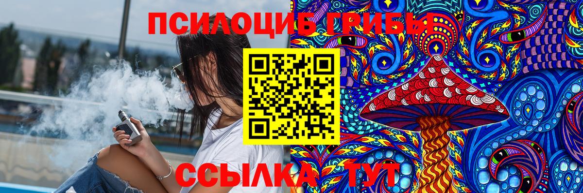 купить наркотик  Псилоцибиновые грибы Cubensis  Вход с VPN  Торжок 